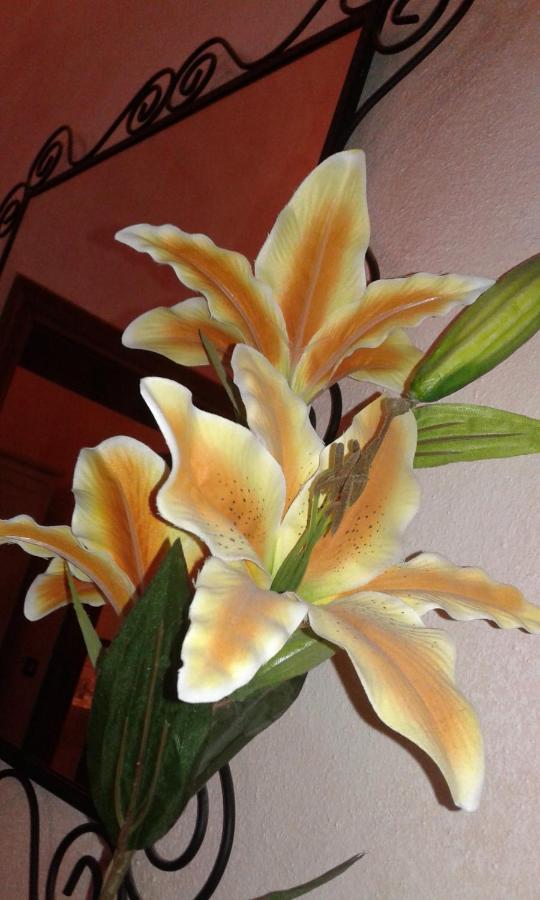 לינה וארוחת בוקר ארצו Il Giglio D'Oro מראה חיצוני תמונה